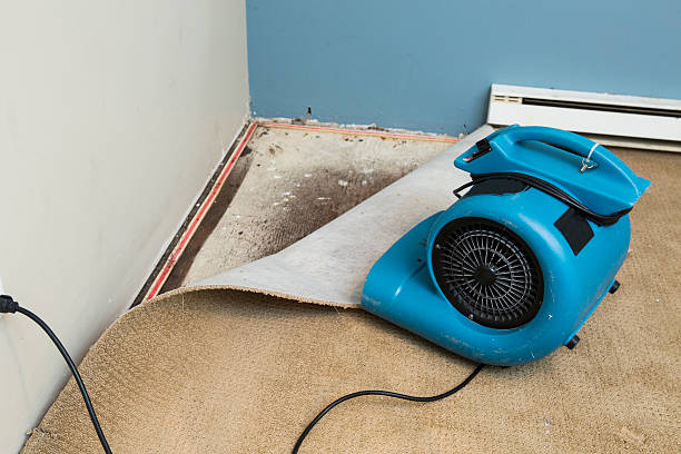 Oak Valley, NJ Water damage restoration Company